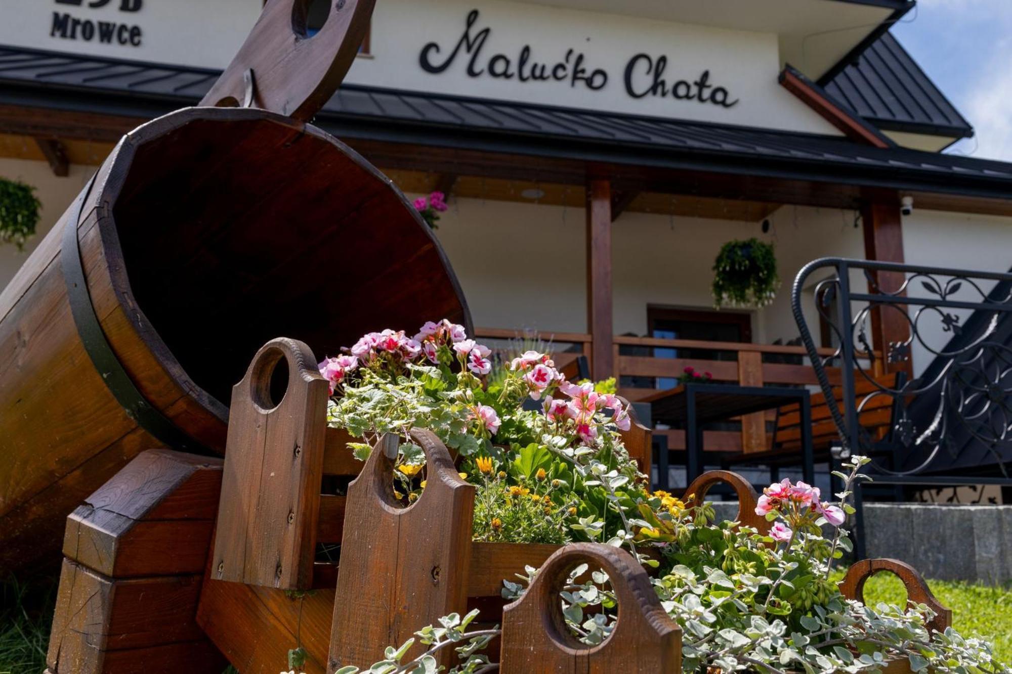 „Malucko Chata” Zakopane Dış mekan fotoğraf